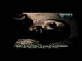 THE REAL STORY OF SADDAM HUSSEIN'S CAPTURE P5-5