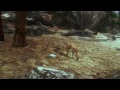 Animation Demo - Sventevith Animation Studio