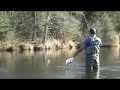 Fly fishing Wisconsin trout