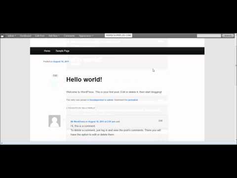 how to newsletter wordpress