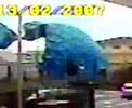 cupola che scoppola a lamezia
