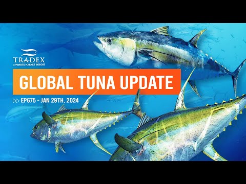 3MMI - Global Tuna Report: Markets, Stocks, Sustainability, Opportunity