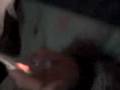 videos de Bon anniversaire mon lapin