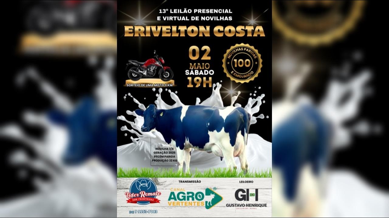13º LEILÃO DE NOVILHAS ERIVELTON COSTA - SÃO JOÃO DEL REI/MG - 02/05/2026