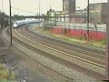 acela-by-the-bunch.html