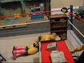 WWE DETENTION