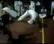 Ver Video