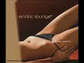 Erotic Lounge 4