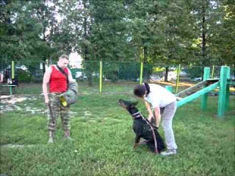 YouTube Трейлер