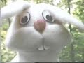 Pawpet Video Gary Lewis 