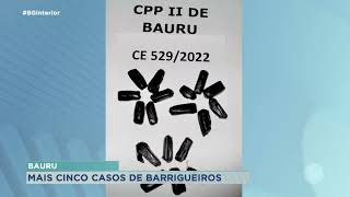 Mais cinco casos de barrigueiros em Bauru