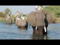 Walimbo - Nyika yeZimbabwe