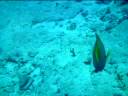 Cancun Scuba Diving