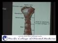 Anatomy 1 F08 WK 5 P2 Shoulder Joints Articulations