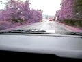 camaro drive