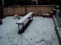 videos de nutella dans la neige.MOV