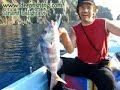 Adrasan Deepfishing ile Sinarit avi