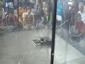 RG06 - Mini Touro vs Itsa!