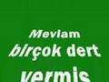�ILGIN BA�LAMACILAR MEVLAM B�R�OK DERT VERM�� �LE ARANIZDA 