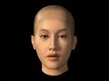 face Morphing &amp; Warping