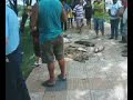 Desastre ecologico