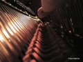 Improvisación descontrolada de piano, guitarra y cello