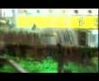 Seevid-huv