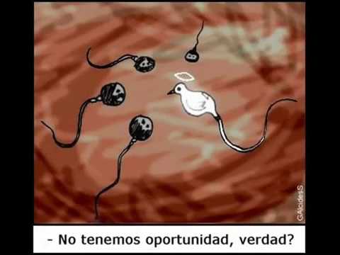 penetraciones anales