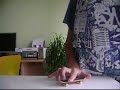 fingerskateboarding.wmv