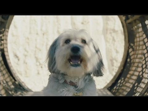نيك عربي