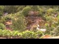 Iao Valley.wmv