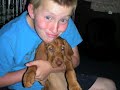 April our Hungarian Vizsla Puppy Part 28