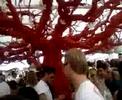 Kiesgrube Neuss 15.07.2007 Part 3
