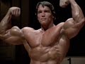 Arnold 