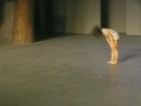 Coreografia Eliana Tumminelli, musiche Di Franco/Karanov/Valet