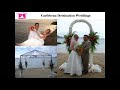 Dreamy Weddings & Tours