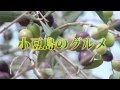 名物醤油ソフト！？