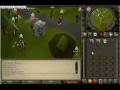 videos de il sara il and il zammy il, owning the WILDY.