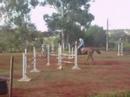 Hipismo - Rafael Donadel e Kalluey [1]