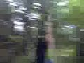 Zip Line Adventure - Adam Zip Line Adventure - Adam