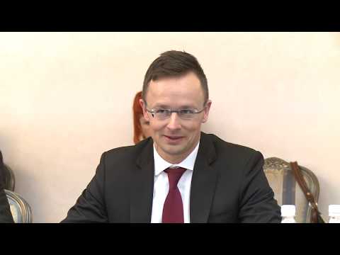 Președintele Moldovei a avut o întrevedere cu Ministrul de Externe al Ungariei