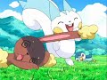 Pachirisu�s Got a Bad Reputation