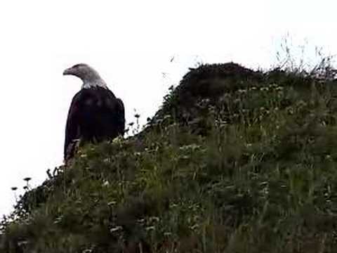 Qawalangin Tribe of Unalaska