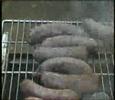 Boerboel video