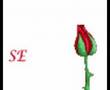 ALLAHSIZ V�DEO 1