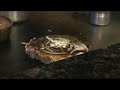 Chibo Restaurant-Okonomiyaki-HonoluluCityDates.blogspot.com