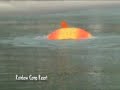 Rishikesh, shivpuri , laxman jhula , Rafting, trekking, cliff jumping Camping on the ganges Rishikesh, shivpuri , laxman jhula , Rafting, trekking, cliff jumping Camping on the ganges