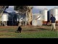 Going Rural: Opportunities in the Wimmera