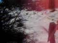 videos de Trekking