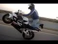 cbr 954 wheelie